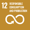 UN Sustainable Development Goal #12 responsible consumption and production