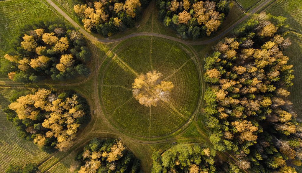 Grass and trees in an arial view.